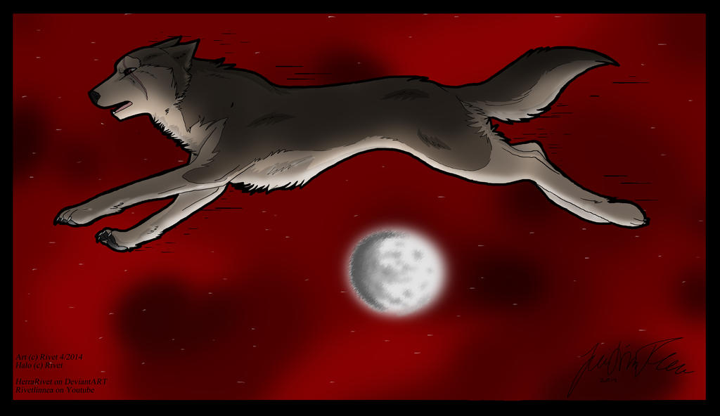 Deviantart Animal Jumping Jump, jump! by HerraRivet on DeviantArt