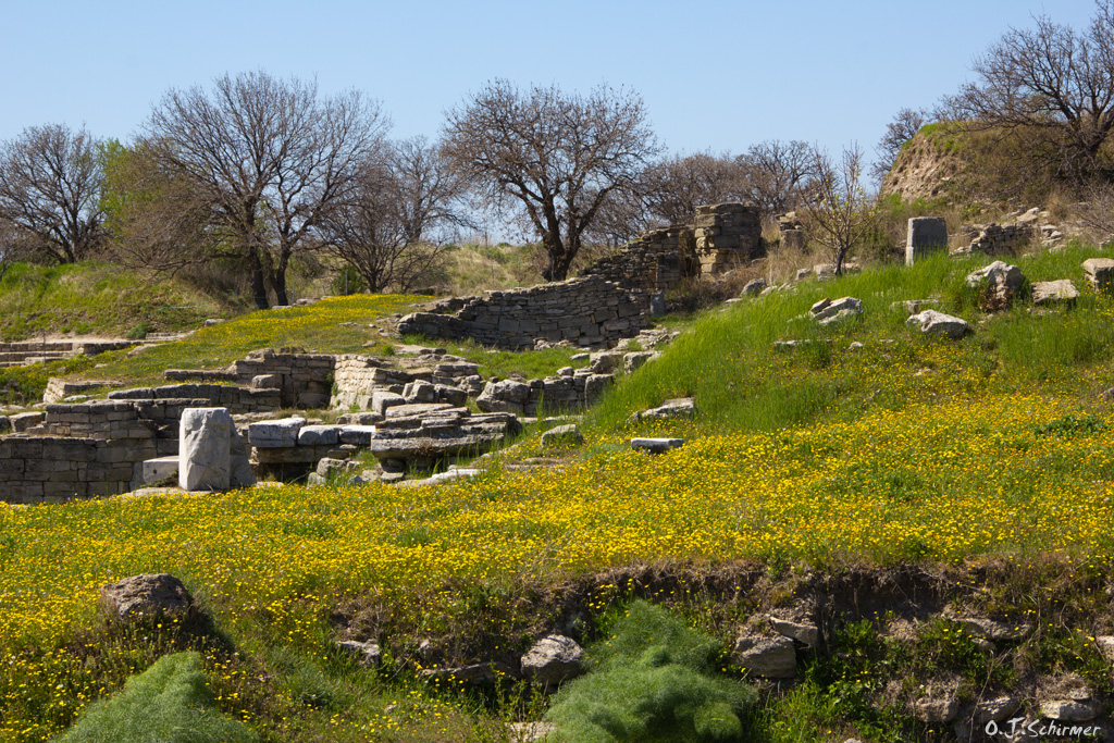 springtime in Troy