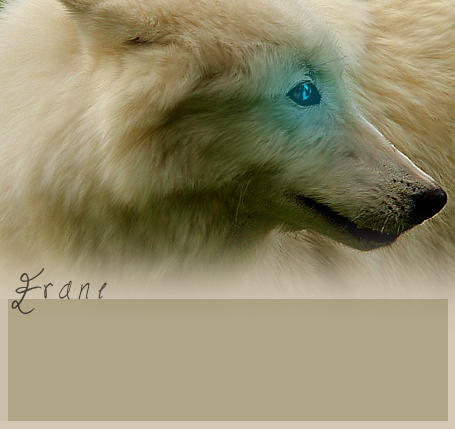 wolf RP by lutara123 on DeviantArt