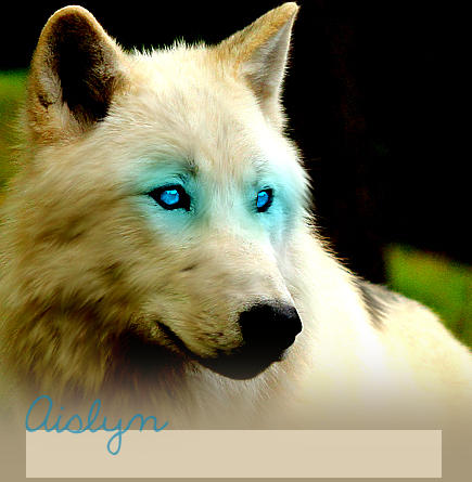 Wolf RP by lutara123 on DeviantArt