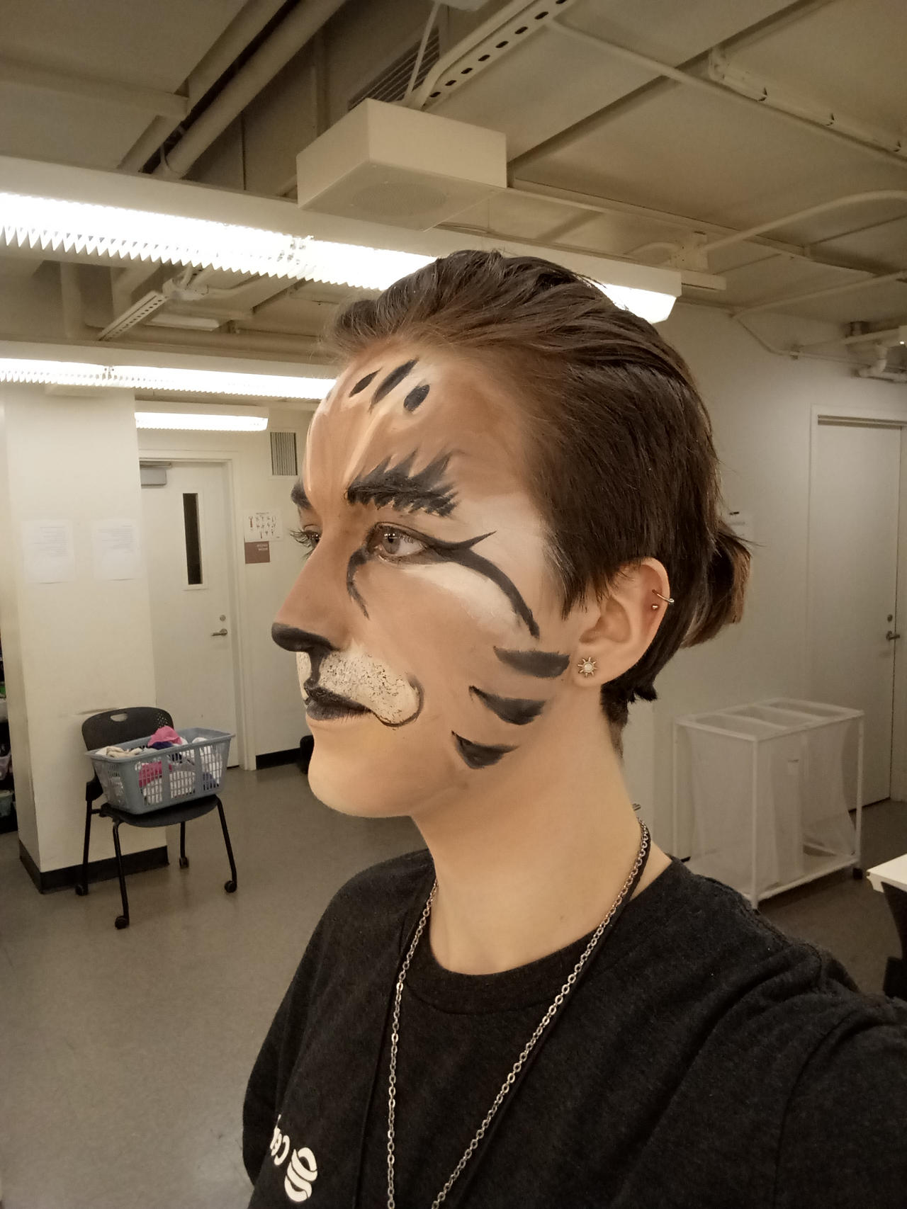 Stage Makeup Animal Cat By