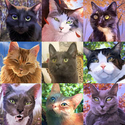 Art vs Artist 2022 Cat Edition