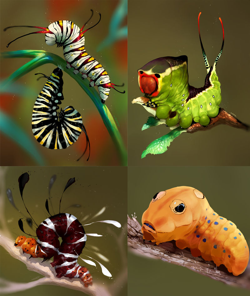 Caterpillars speedpaint studies