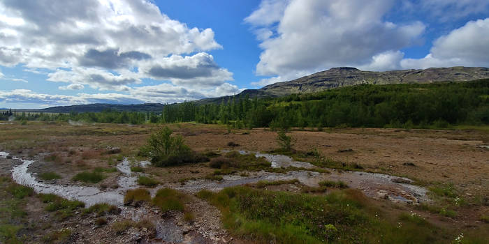 On the way to the Geysir