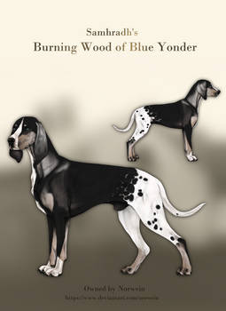 Samhradh's Burning Wood of Blue Yonder