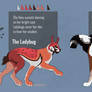 OPEN ADOPTS 2/2