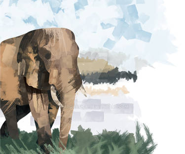 Elephant Illustration