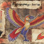 Archaeopteryx Sunrise Colors