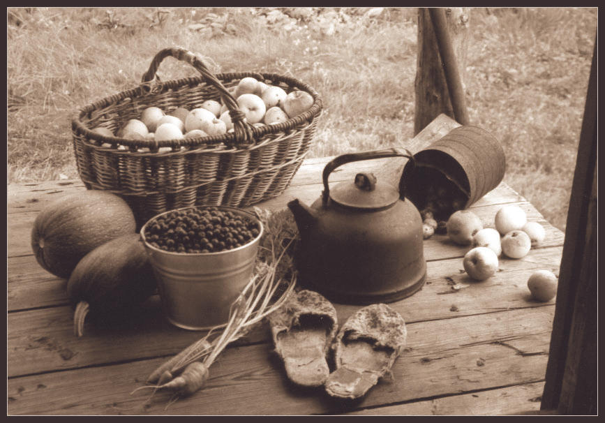 sepia still life by anat on DeviantArt