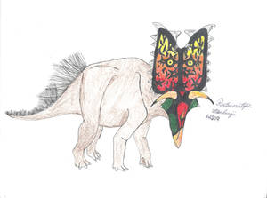 Pentaceratops steinbergi