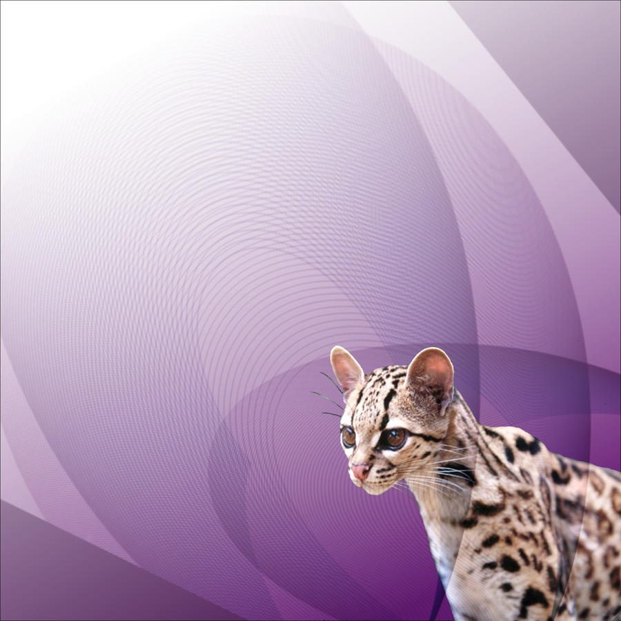 Oneiric Ocelot