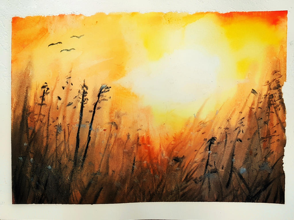 Angry Sunset Angry sunset by WoomyWobble on DeviantArt