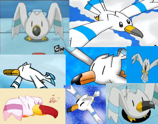 Wingull Sticker Wingull by SRMTHFGluver555 on DeviantArt