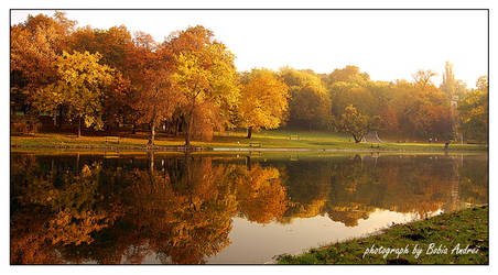 Autumn Landscape 3