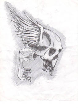 Skull