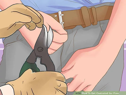 How to Get Castrated for Free