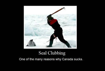 Seal Clubbing