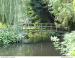 Norfolk BRIDGE 13_quaddles by quaddles