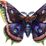 VICTORIAN butterfly 3_quaddles