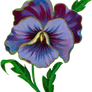 VICTORIAN flower 2_quaddles