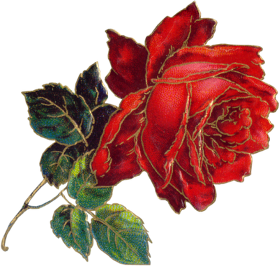 VICTORIAN flower 4_quaddles by quaddles