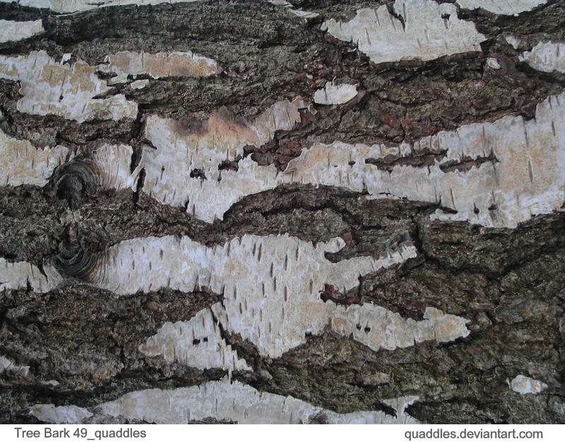 Tree Bark 49_quaddles