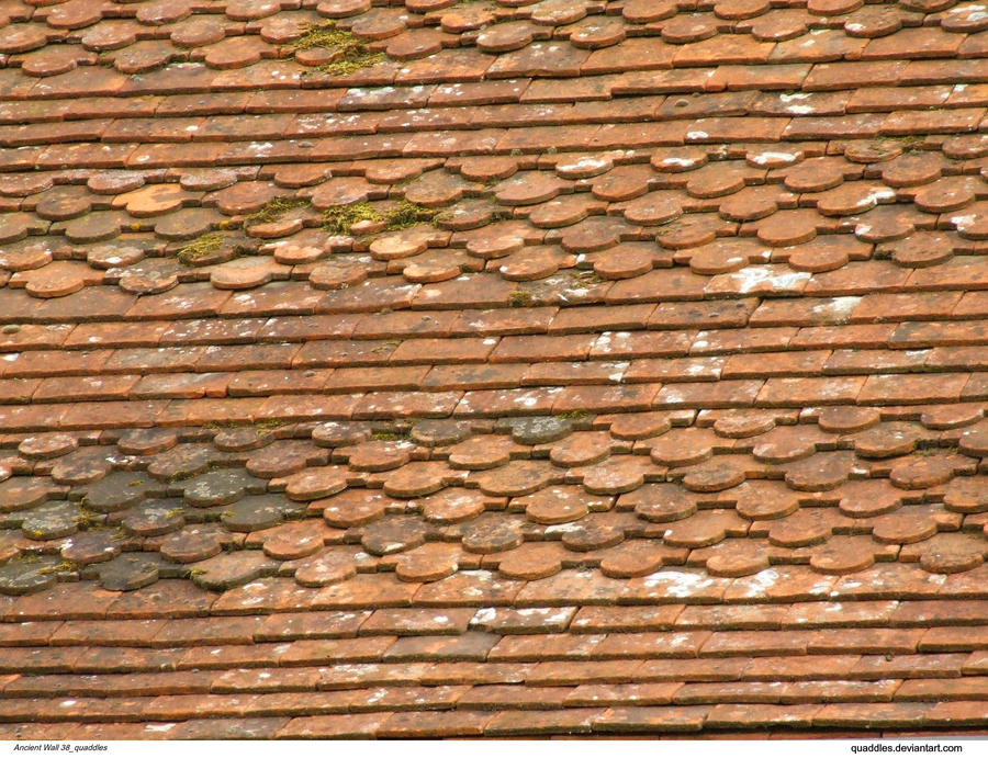 Ancient Wall 38_quaddles