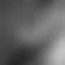 Risque 59_quaddles