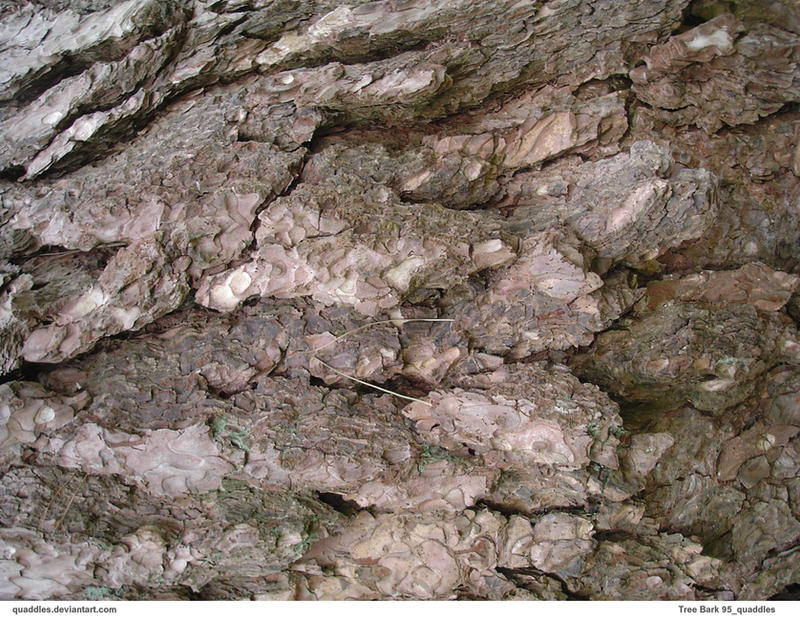 Tree Bark 95_quaddles