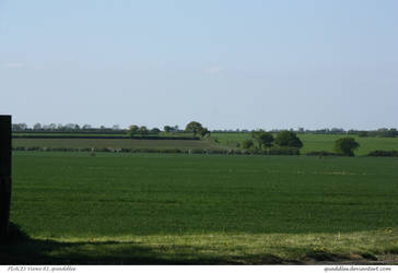 PLACES Views 81_quaddles