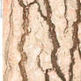 Tree Bark 133_quaddles