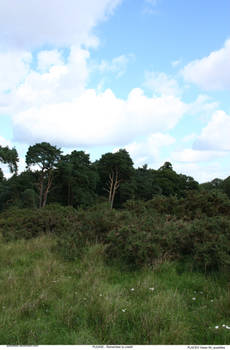 PLACES Views 54_quaddles