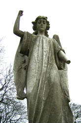 Angel front view