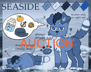 Seaside Auction [OPEN]