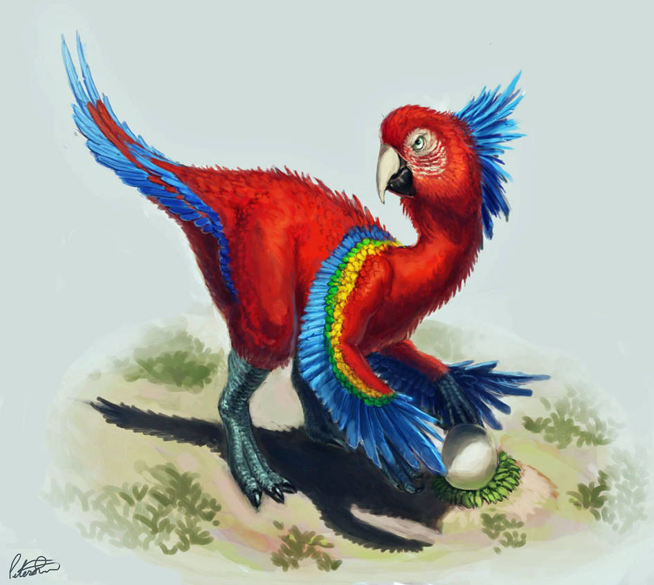 Parrot Raptor by EnemyDesign on DeviantArt