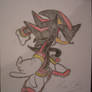 Shadow the hedgehog