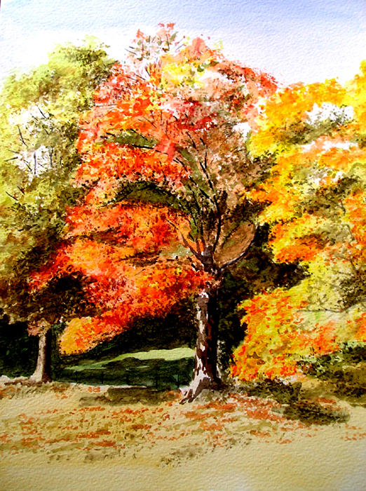 Autumn Tree