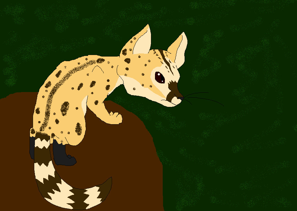 Genet animation by VictoriaTheCat123 on DeviantArt