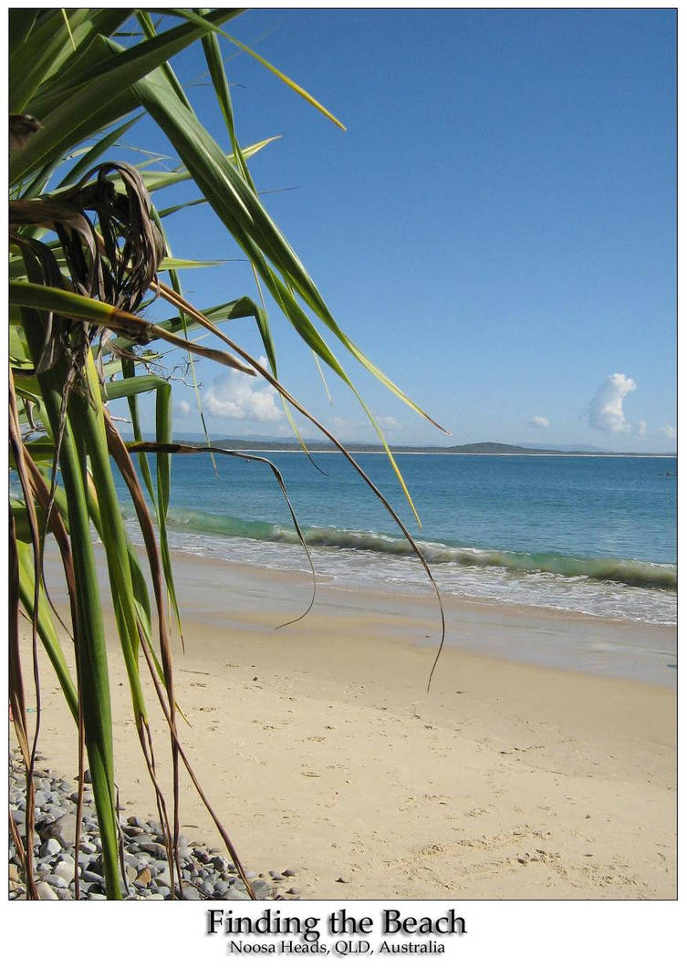 Finding the Beach by AmazingFee on DeviantArt