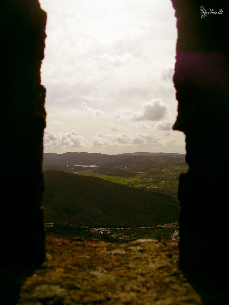 The open window by SaraPereiraArt The open window by SaraPereiraArt