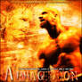 WWE Armageddon