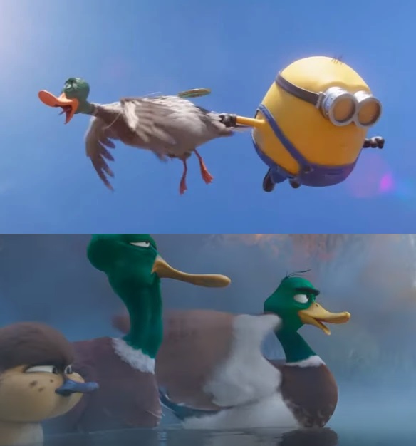 Duck Riding Deviantart Ducks by zielinskijoseph on DeviantArt