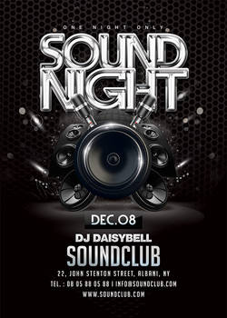 Sound Night Party Flyer