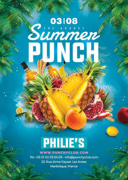 Summer Punch Flyer