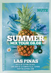 Summer Mix tour flyer by n2n44