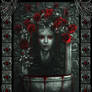 Elizabeth Bathory. Immured countess