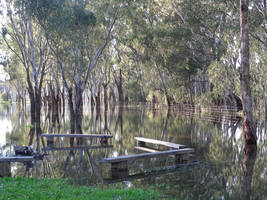 Reflections