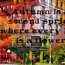 Autumn Quote