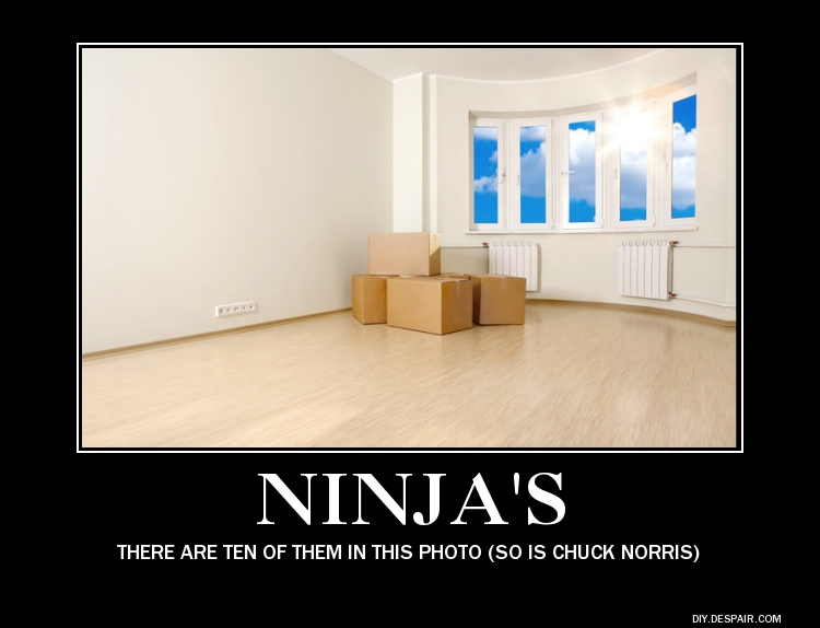 Ninja