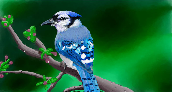 A bird of blue